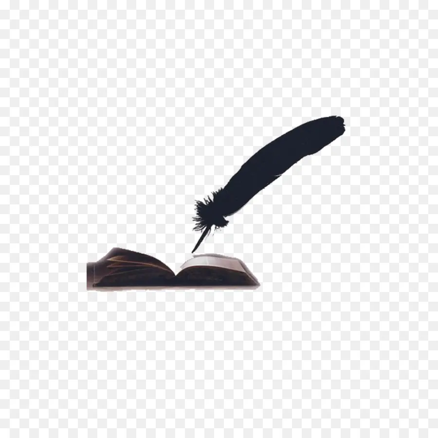 Pluma，Libro PNG