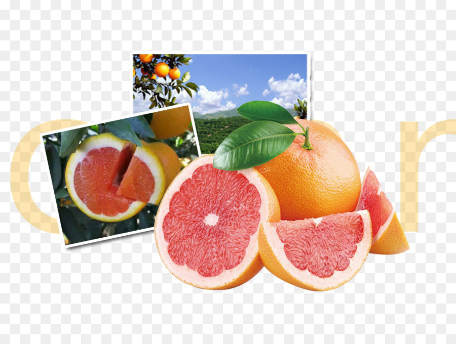 Jugo，Pomelo PNG