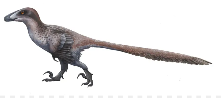 Dakotaraptor，Deinonychus PNG