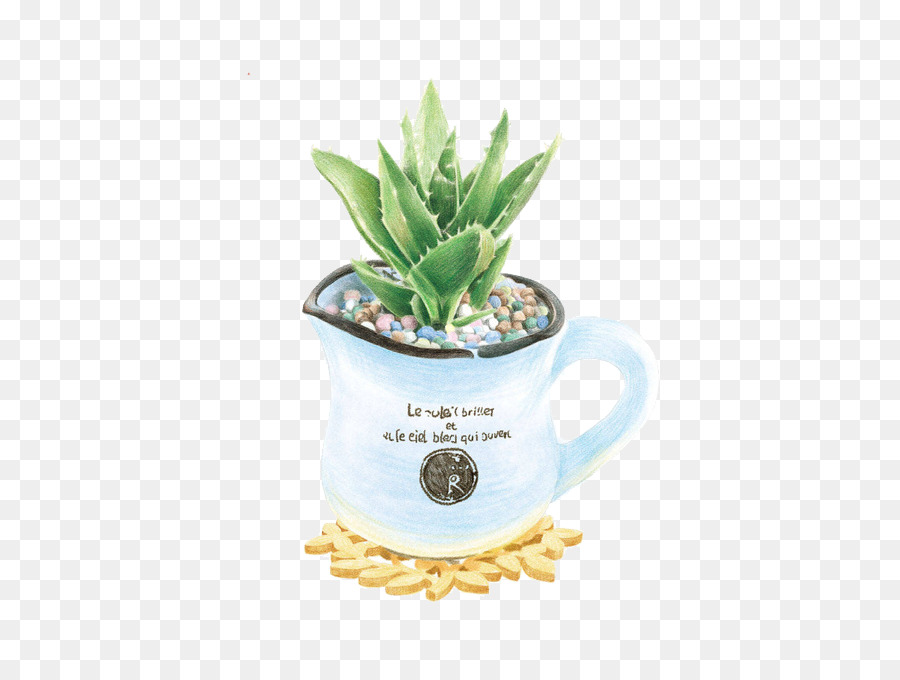 Planta En Taza，Suculento PNG