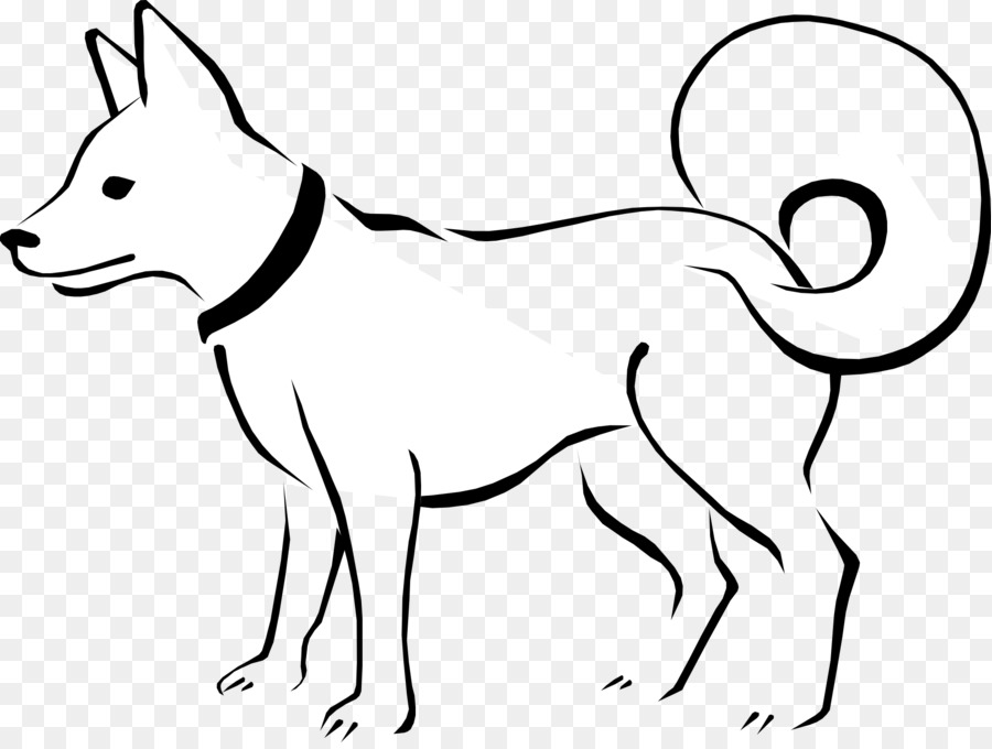 Caniche Estándar，Cachorro PNG