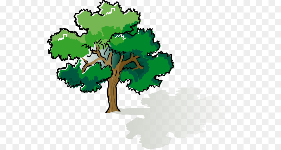 Árbol，Hojas PNG