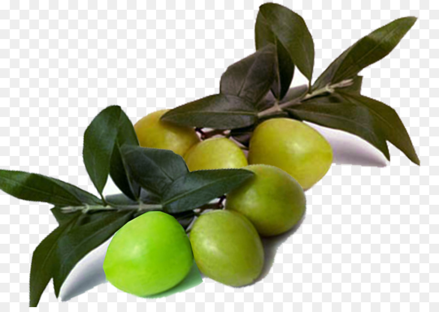 Aceitunas，Fruta PNG