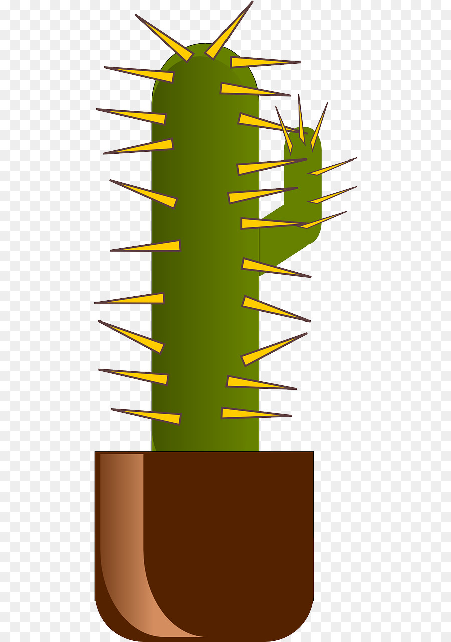 Cactus，Suculento PNG