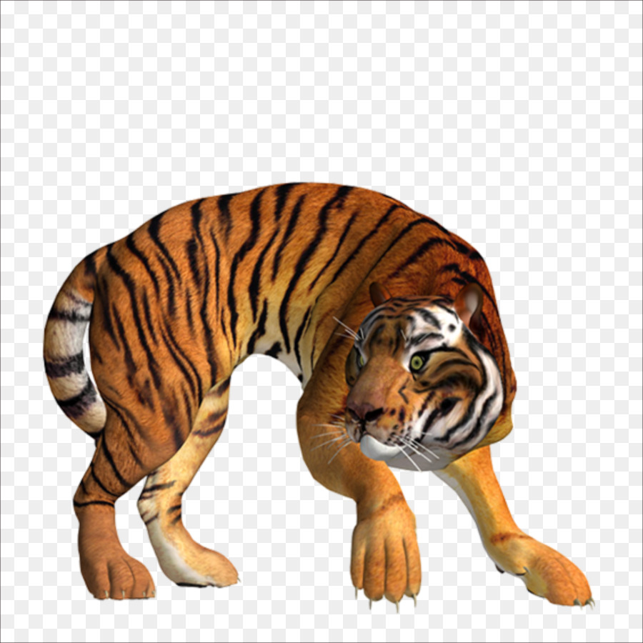 Tigre，Descargar PNG