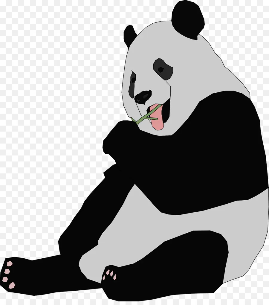 El Panda Gigante，El Panda Rojo PNG