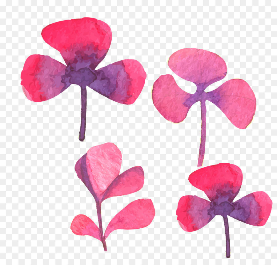 Flores De Acuarela，Vistoso PNG