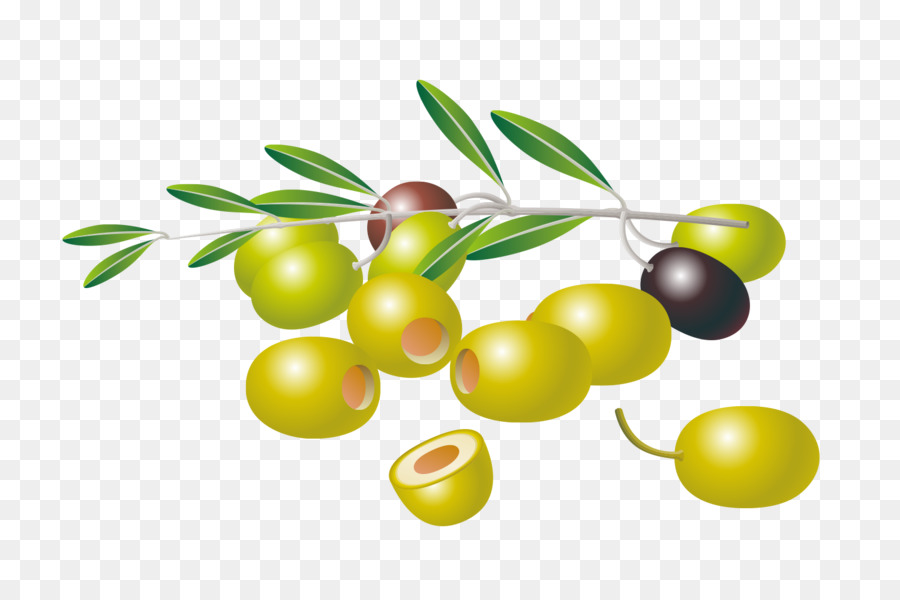 Aceitunas，Verde PNG