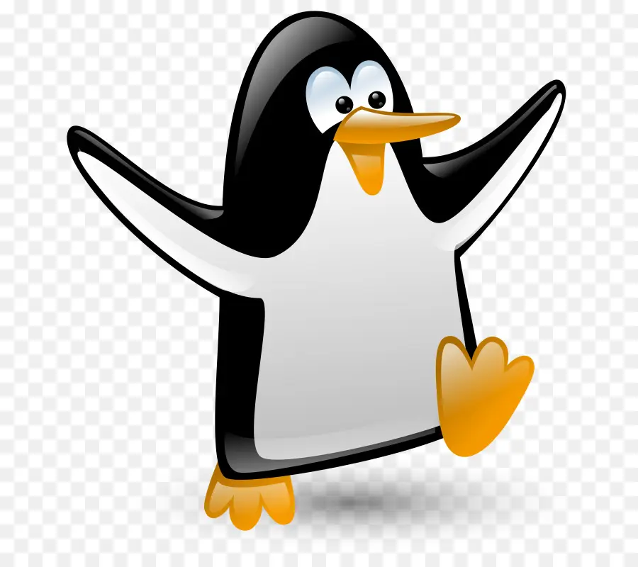 Pingüino，Pájaro PNG