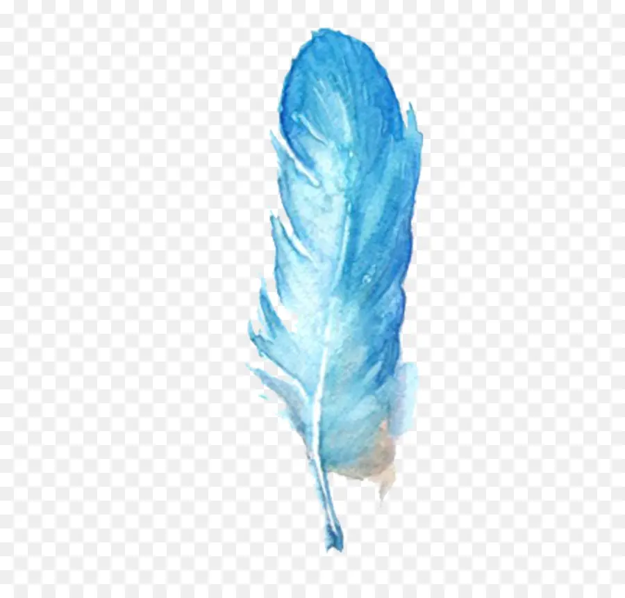 Pluma Azul，Acuarela PNG