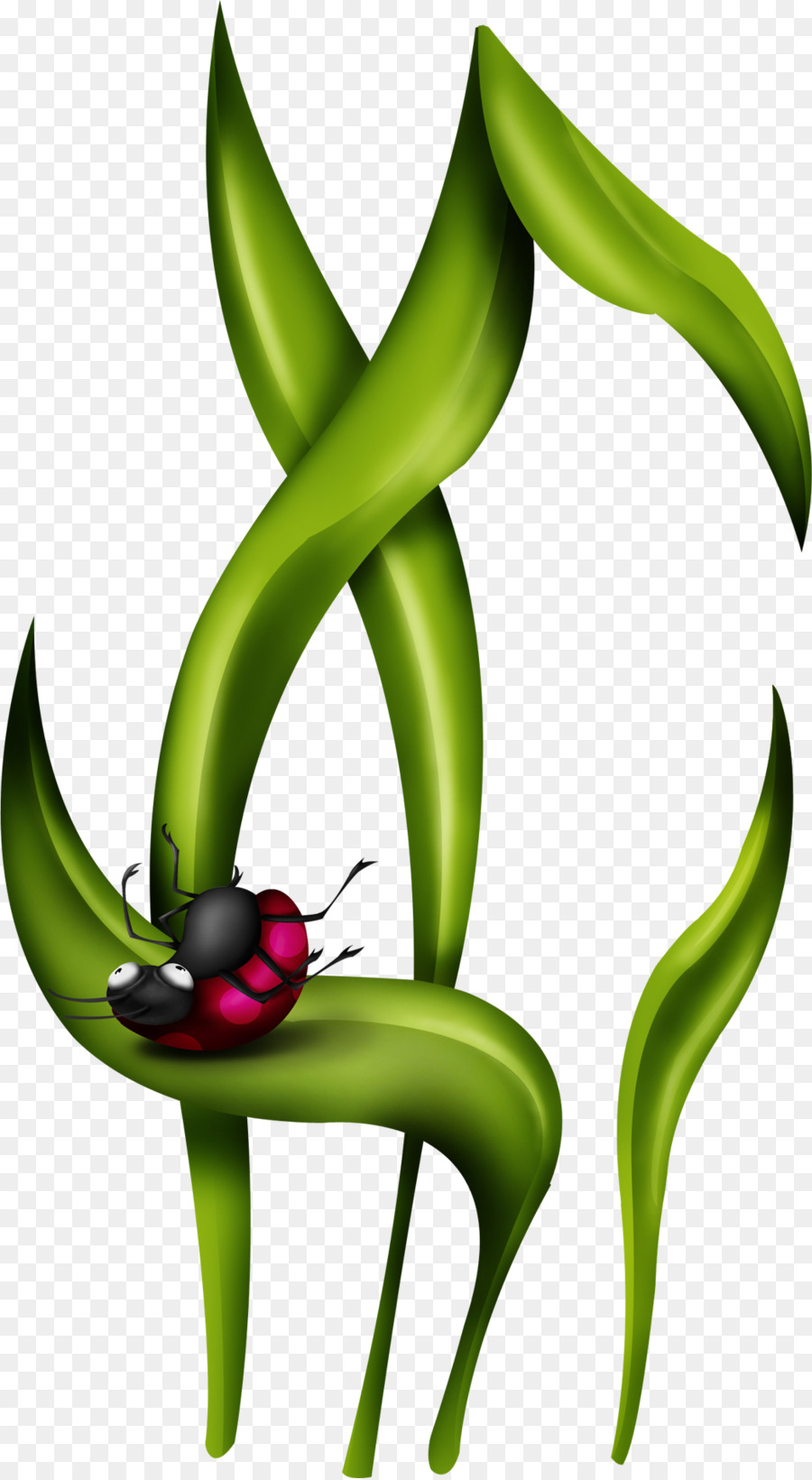 Mariquita Septempunctata，Dibujo PNG