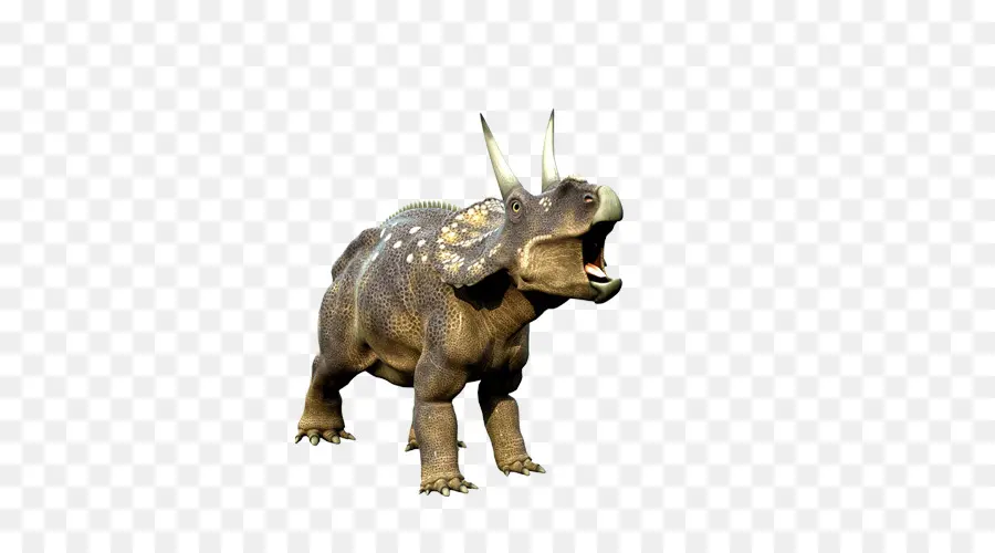 Triceratops，Tyrannosaurus PNG