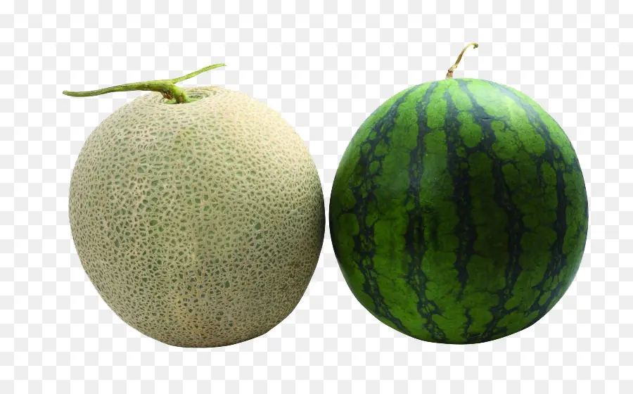 Melón，La Sandía PNG