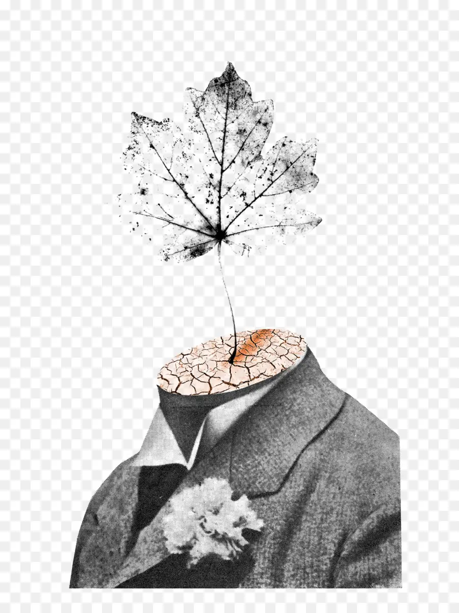 Cabeza De Hoja，Surrealista PNG