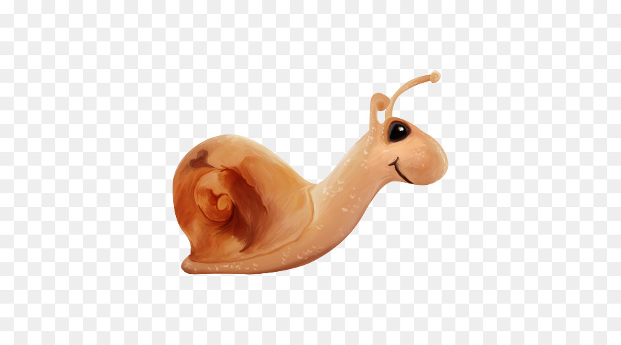 Caracol，Ortogastropoda PNG