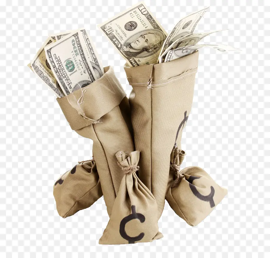 Bolsas De Dinero，Dinero PNG