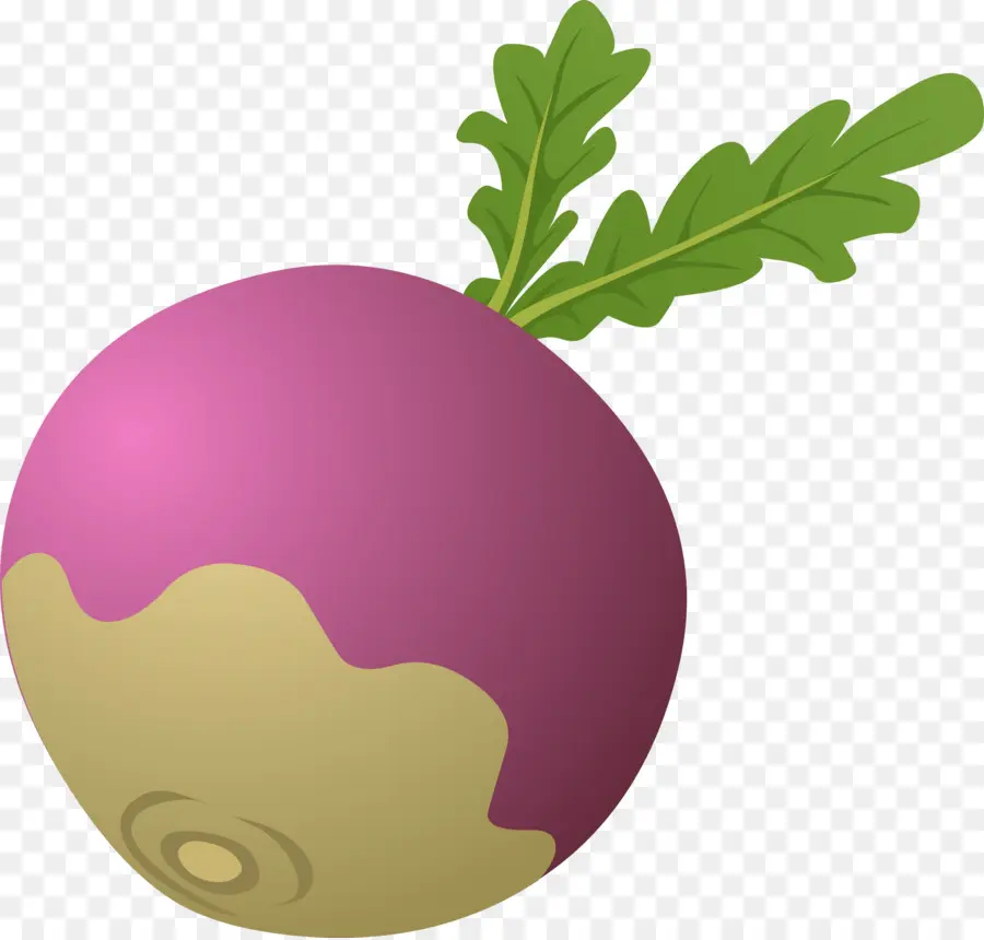 Daikon，Gigantesco Nabo PNG