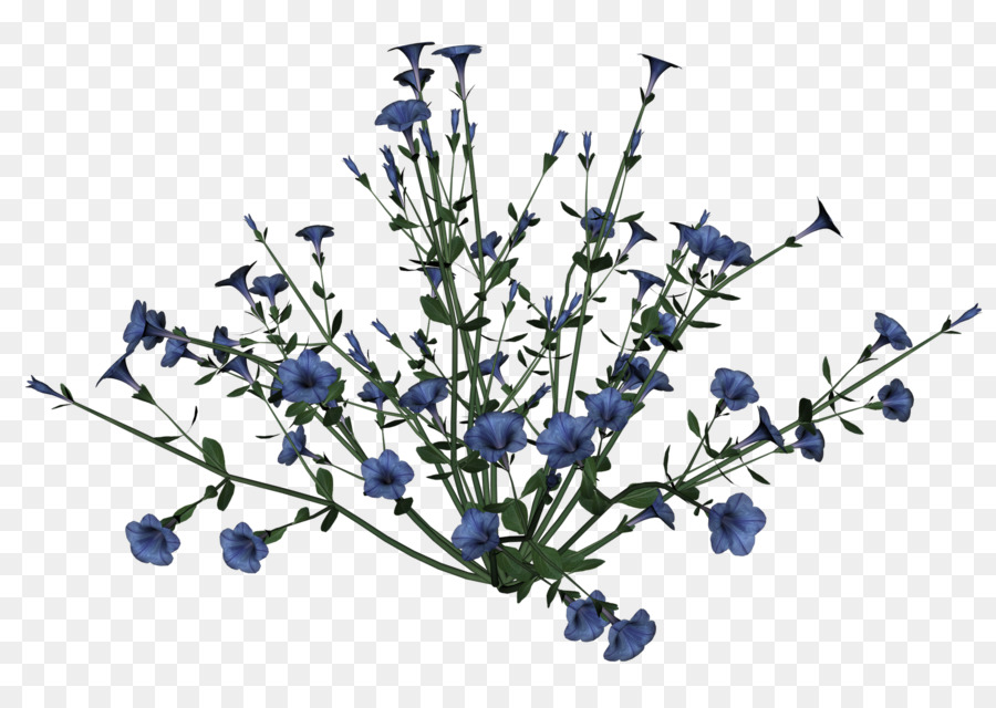 Flores Azules，Florecer PNG