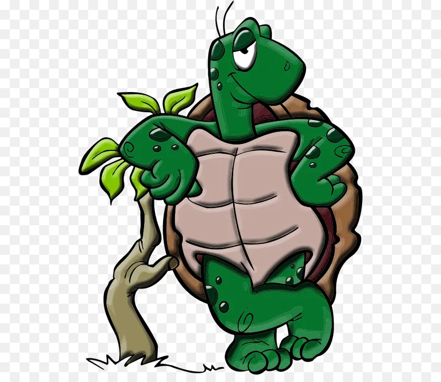 Tortuga De Dibujos Animados，Dibujos Animados PNG