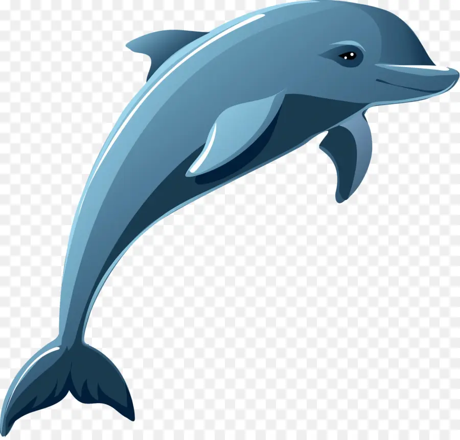Dolphin，Una Fotografía De Stock PNG