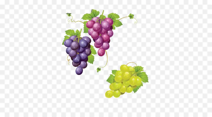 Uvas，Racimo PNG