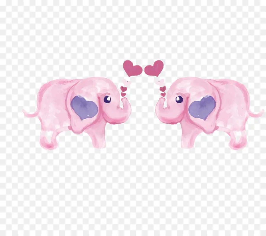 Rosa，Elefante PNG