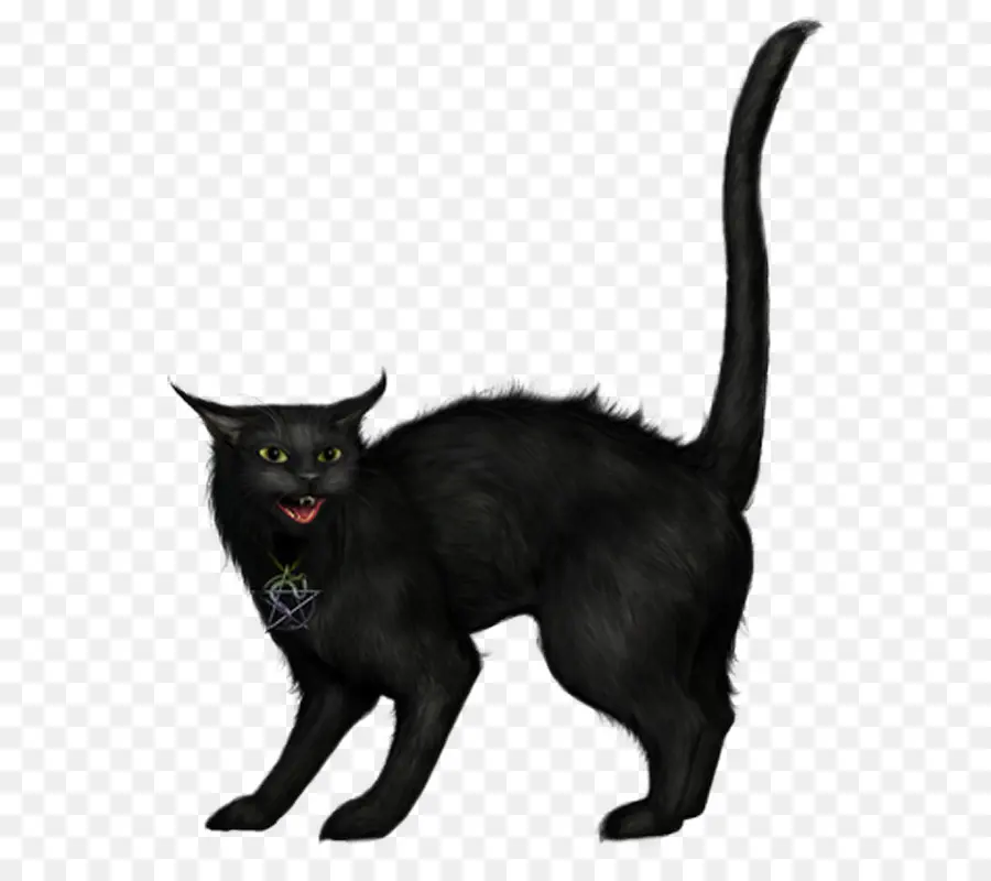 Gato，Gato Negro PNG