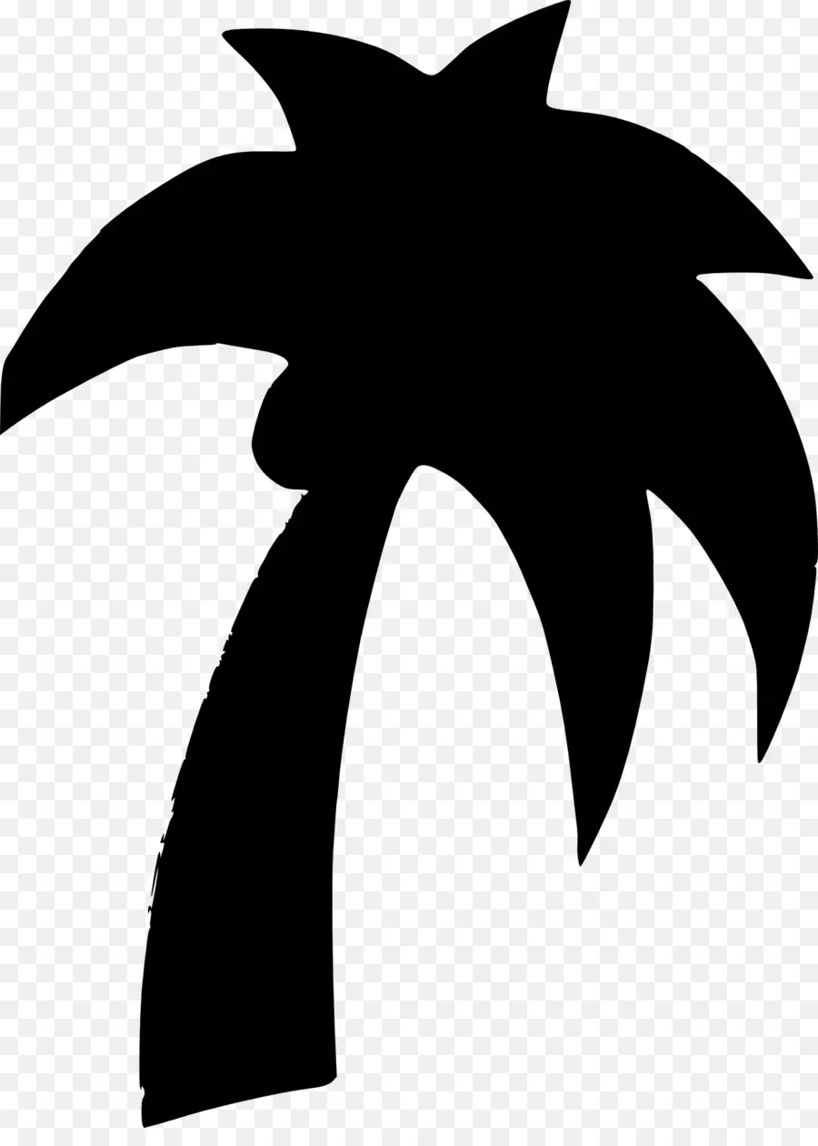 Palmera，Árbol PNG