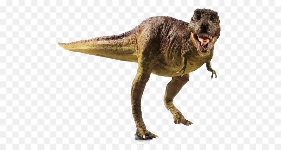 Tyrannosaurus，Cretácico Tardío PNG