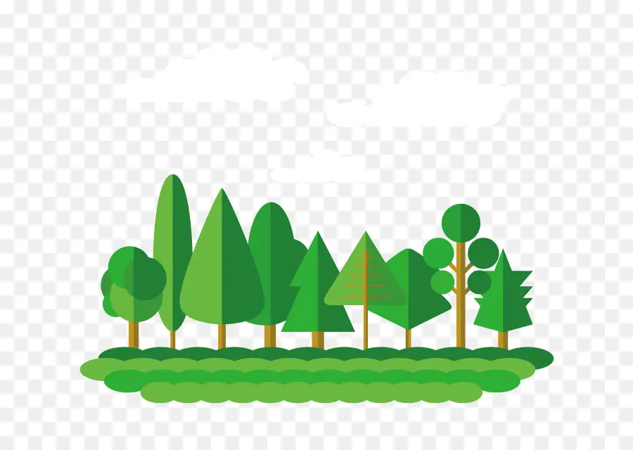 Diseño Plano，Bosque PNG