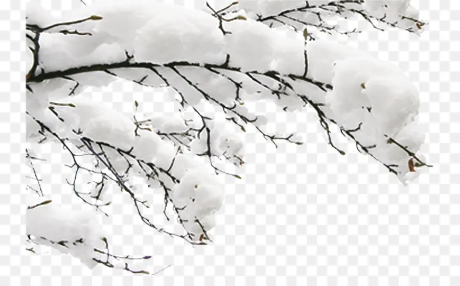 Nieve，Invierno PNG