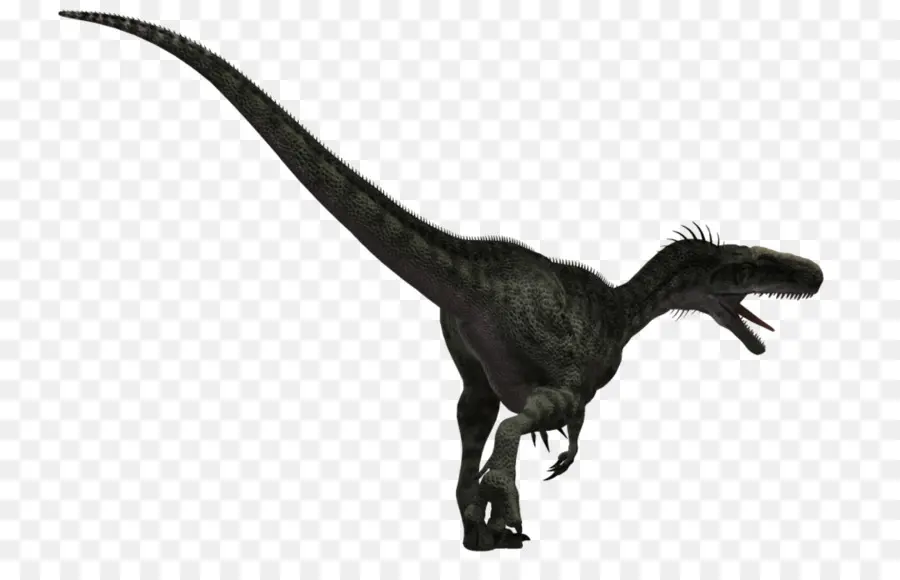 Monolophosaurus，Velociraptor PNG