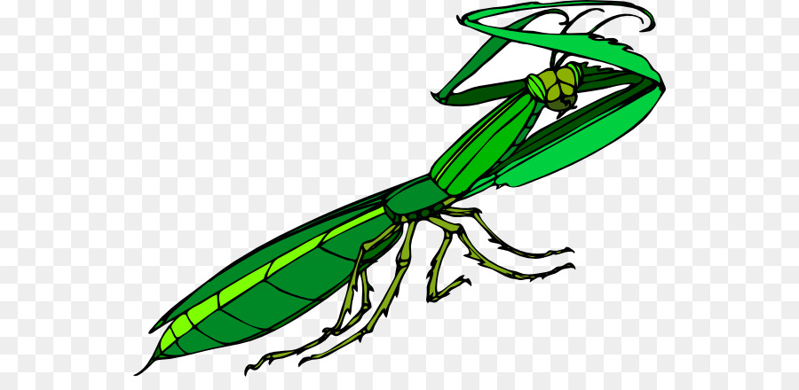 Los Insectos，Mantis PNG