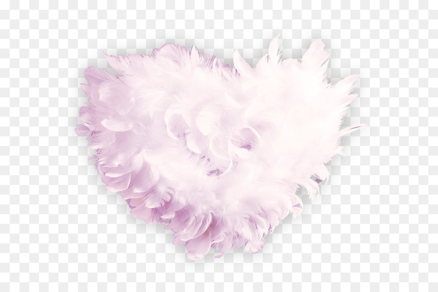 Pluma Rosa，Suave PNG