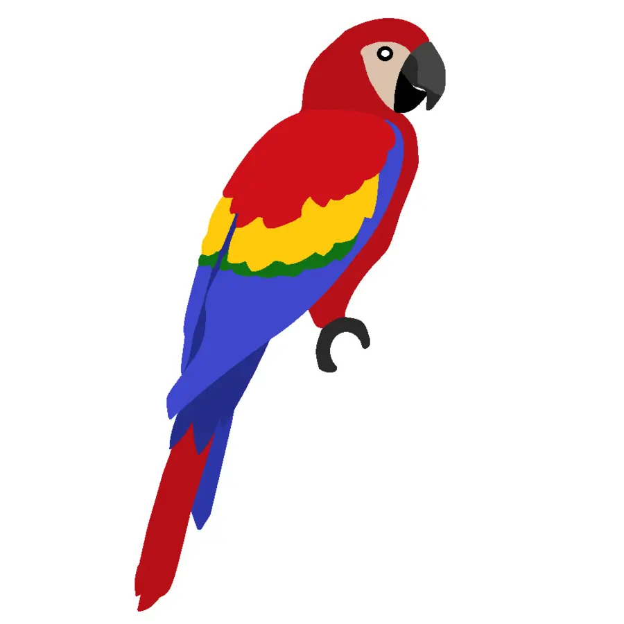 Parrot，Guacamayo PNG