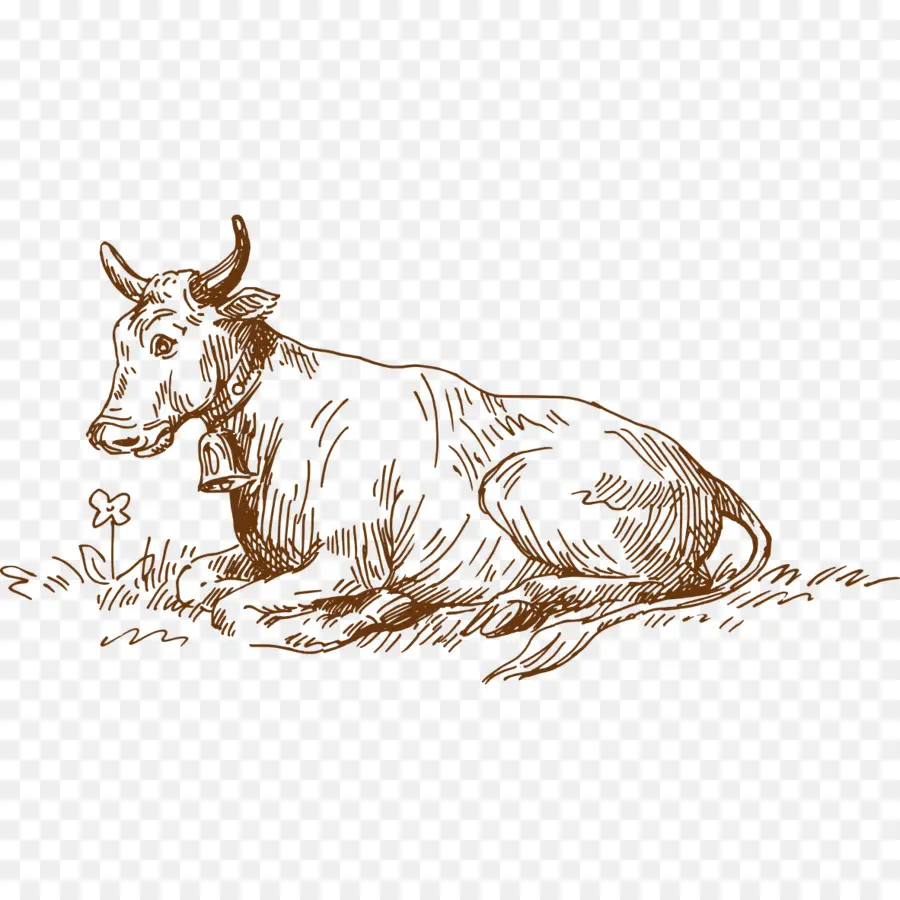 Dibujo De Vaca，Bosquejo PNG