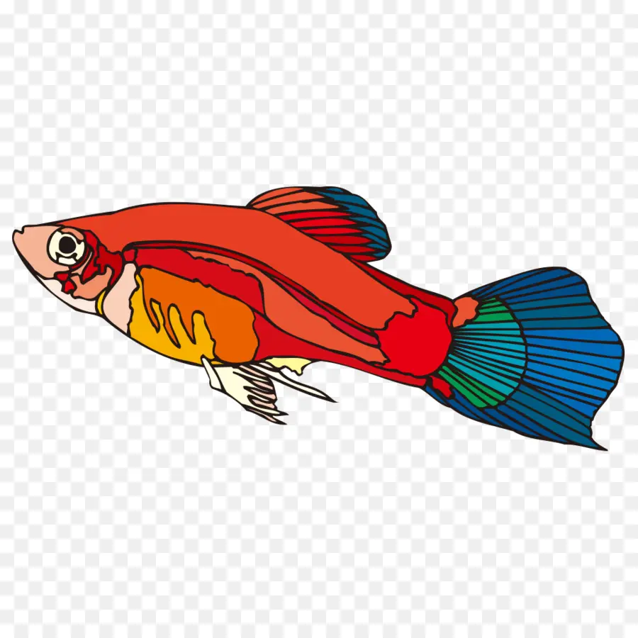 De Dibujos Animados，Los Peces PNG