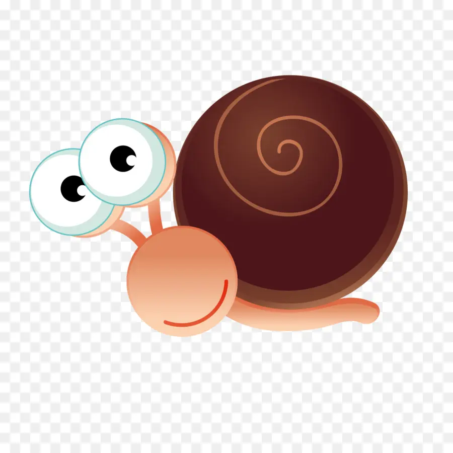 Caracol，Caparazón PNG