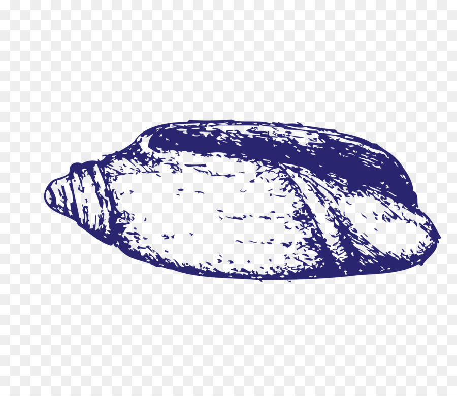 Concha，La Concha PNG