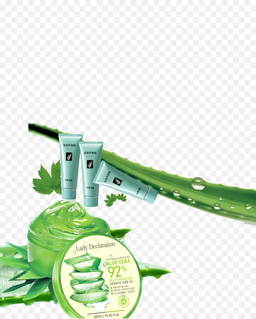 Aloe Vera，Gel PNG