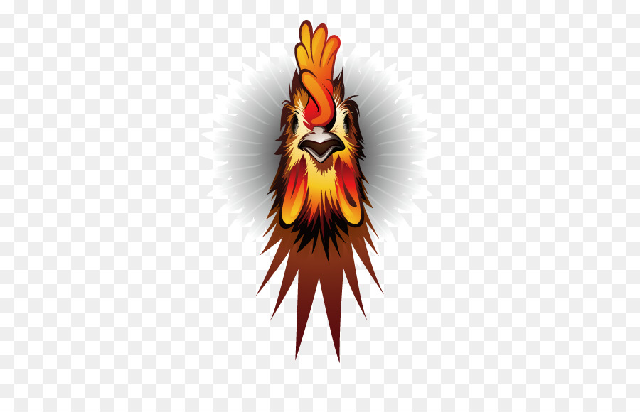 Gallo，Plumas PNG