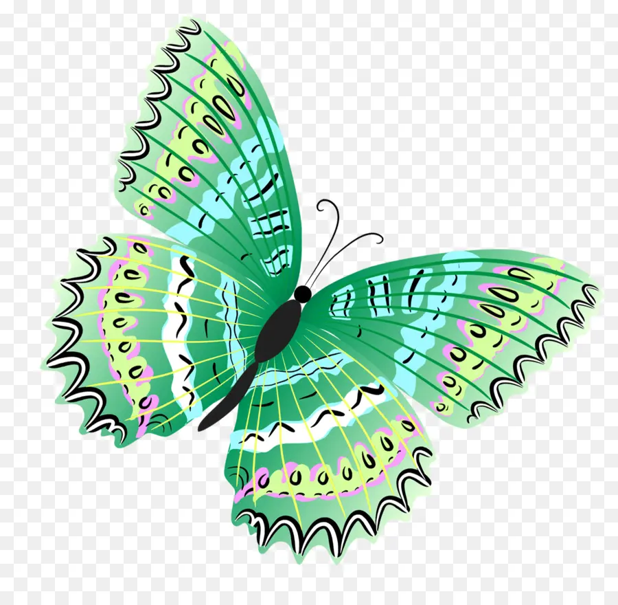 Mariposa，Verde PNG