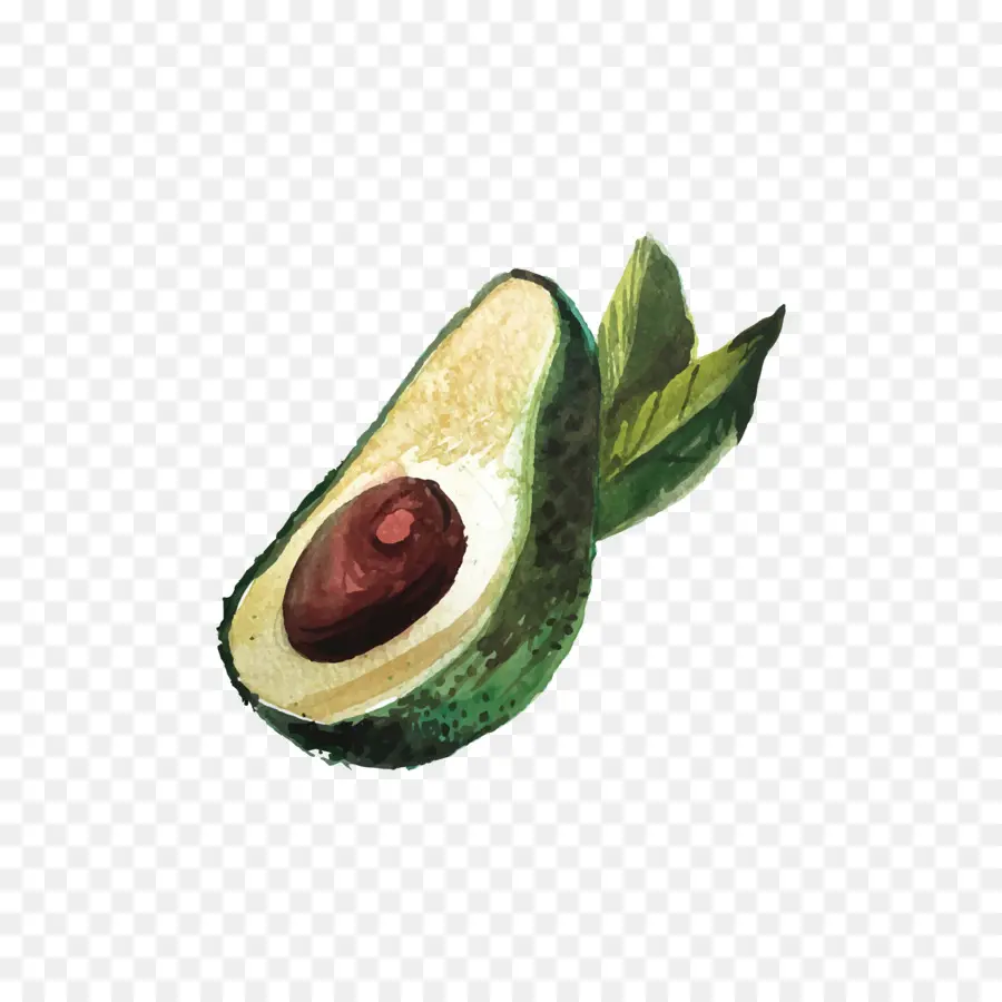 Aguacate，De Dibujos Animados PNG