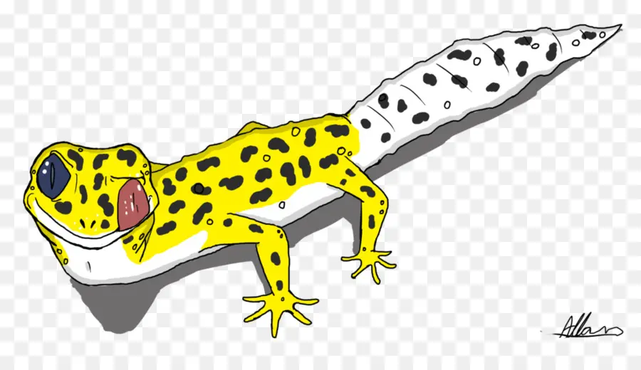 Gecko，Común Leopard Gecko PNG