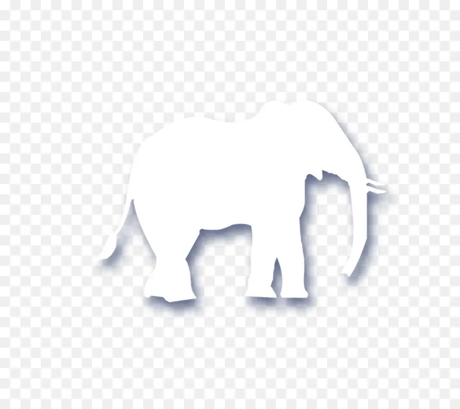 Elefante Blanco，Animal PNG