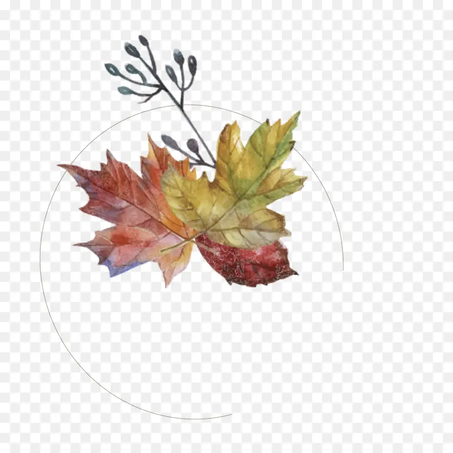 Hojas De Otoño，Caer PNG