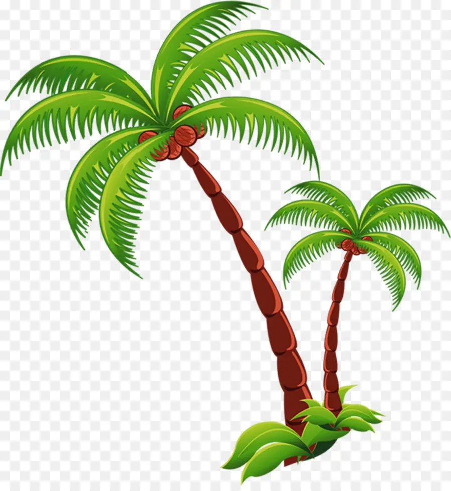 Coco，Playa PNG