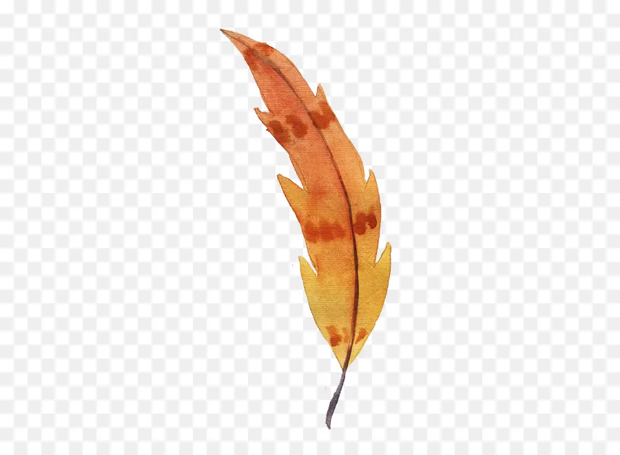 Pluma，Otoño PNG