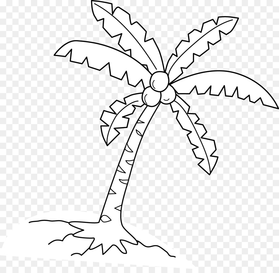 Palmera，Árbol PNG