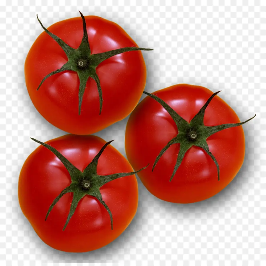 Tomate Ciruela，Bush Tomate PNG